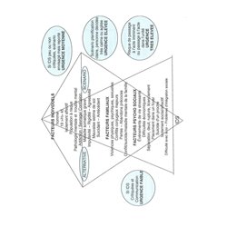 39.7082.071 : PROCEDURE DE SURVEILLANCE DE RISQUE SUICIDAIRE / 